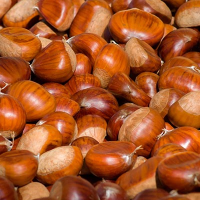 Castagne